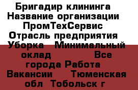 Бригадир клининга › Название организации ­ ПромТехСервис › Отрасль предприятия ­ Уборка › Минимальный оклад ­ 30 000 - Все города Работа » Вакансии   . Тюменская обл.,Тобольск г.